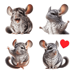 Chinchilla little icon