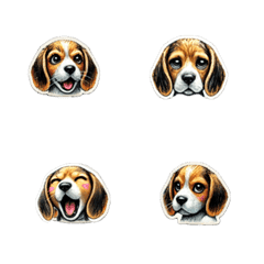 Beagle cute cute