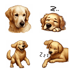 Golden dog  with various expressions