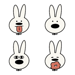 Boti Rabbit daily life