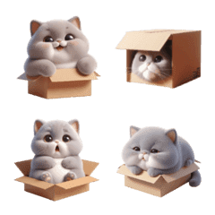 Fluffy Cat in a Cardboard Box Emoji