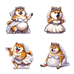 Pixel art bride fat shiba emoji