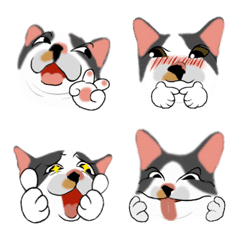 Yuan Zai Emoji