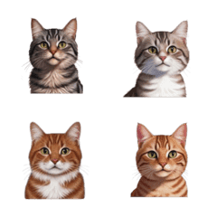 cute cats expression stickers