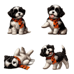 Shih Tzu dog wearing a scarf