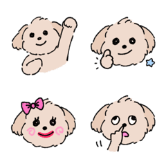 Maltipoo Roichi emoji