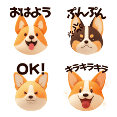 Corgi every day