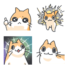 Strange cat - cat meme emoji