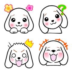 cute white dog feelings