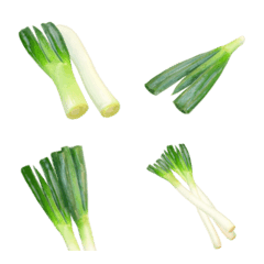 Delicious Spring onion