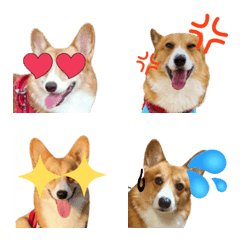 Corgi Rua Emoji(Japanese)