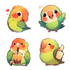 Super cute love bird parrot-1