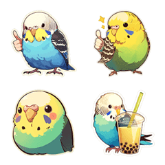 Super cute budgie-4