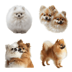 pomeraniann emoji