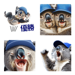 Baseball Fan Koala 1