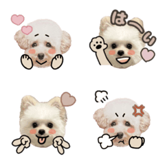 SAN MONI emoji 2