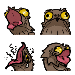 SASSY POTOO