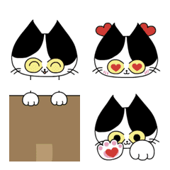 a cute cat with a variety of expressions