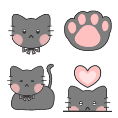 cute gray cat