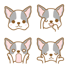 dogEmoji(Bostonterrier)-toYvu-