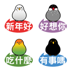 Daily phrases for cute birds!(dynamic)