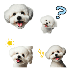 DOG Emoji23