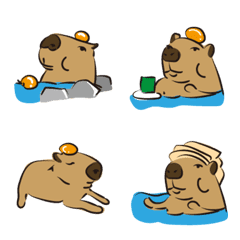 Playidea Capybara-1