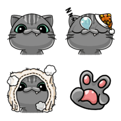 Beloved cat emoji/GY