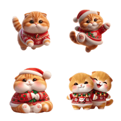 Chubby orange Scottish Fold cat v.2