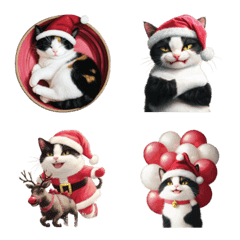 Santa Meow...Meow