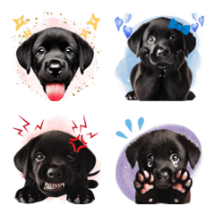 Easy to use! black labrador retriever