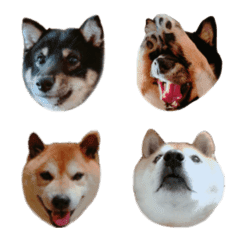 yukichikunnemoji