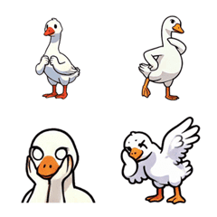 Random Action White Geese