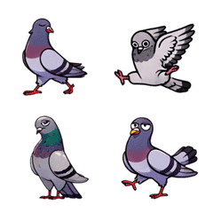 Wacky Pigeons in Action