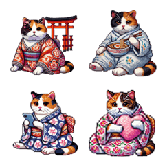 Kimono cat