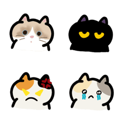 癒しの猫たち × 人生のさまざまな側面 I