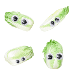 "Googlys" Chinese cabbage