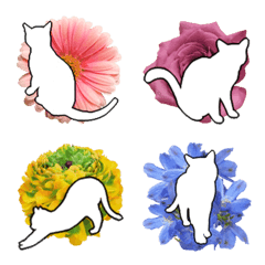 *Flower Emoji* Cats & Flowers