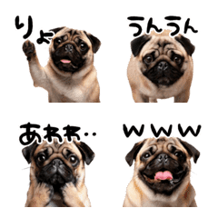 Pug reaction emoji