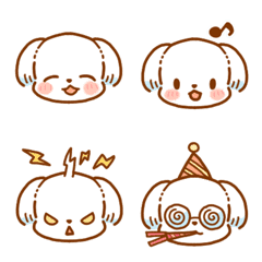 The Cute Maltesedog kai