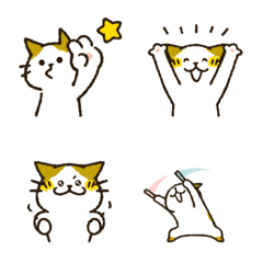 Cute cat 'Cyanpachi'. -Animation Emoji3-