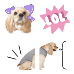 Shelly's emoji @emu.design