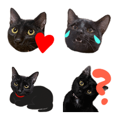 Pretty Black cat emoji