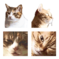 三毛猫＆茶トラ