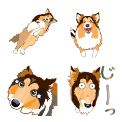 Exciting Sheltie Moving Emoji