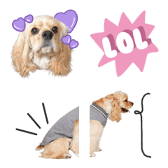 Shelly's emoji @emu.design