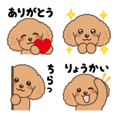 Lovely Toy Poodle Emoji