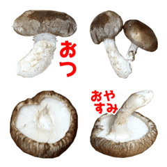 しいたけ絵文字2