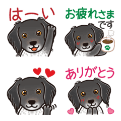 Brittany Spaniel GOMA's Emoji