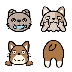 cat face, various cat Emojis